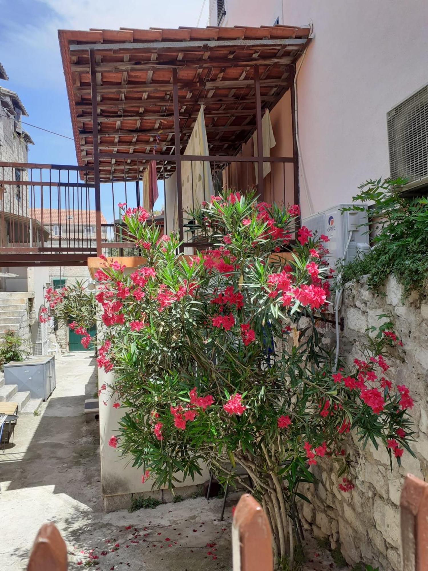 Oleander Apartments Split Zewnętrze zdjęcie